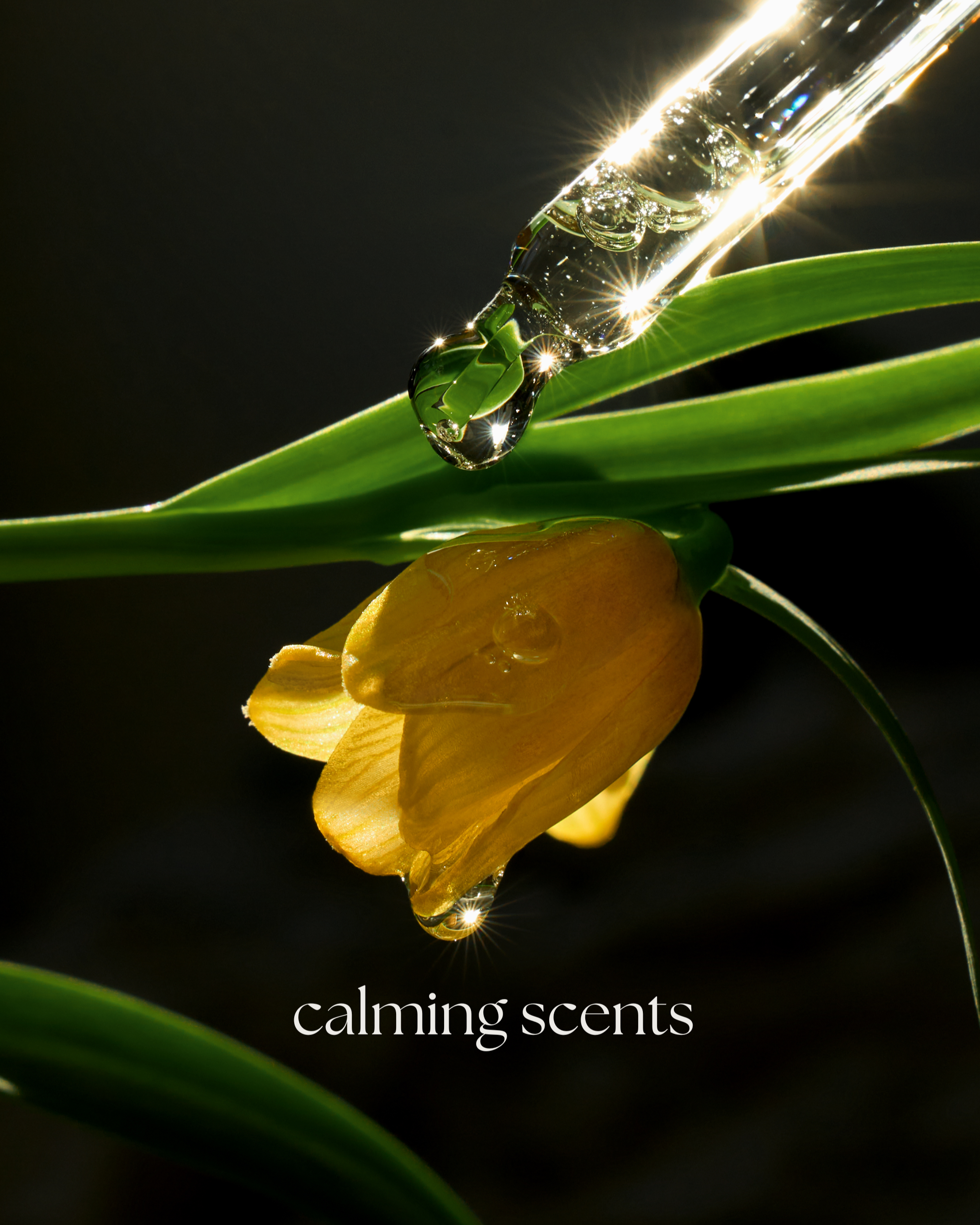 Close up shot of Dream Oil pipette being used in a natural setting.